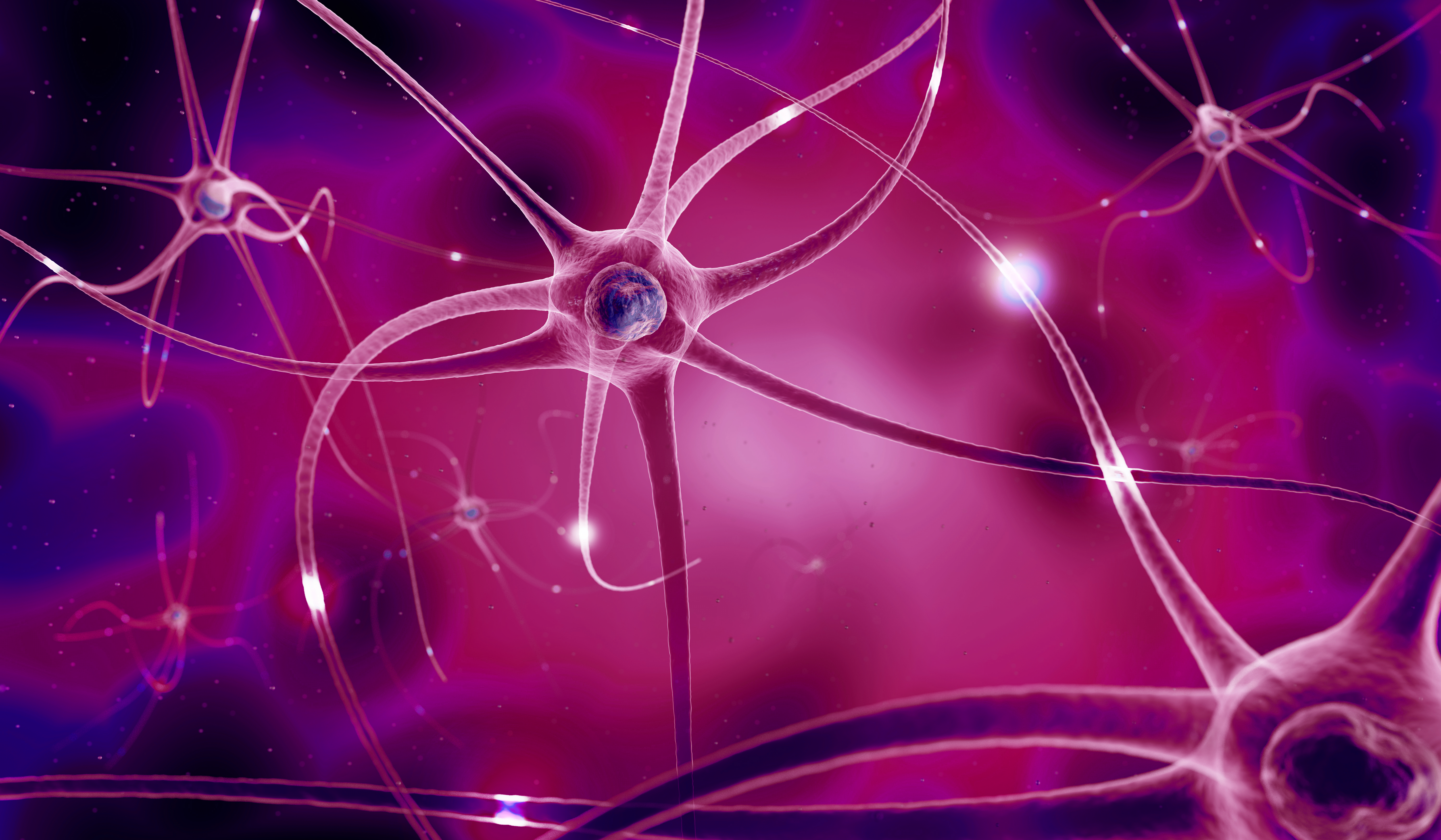 Nerve cells