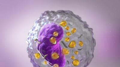 Hemo image for congresses