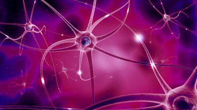 Neuro image for congress